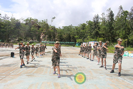 军体拳第一套分解动作学习_少年军旅夏令营图